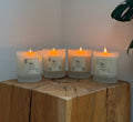 Re.Light Signature Collection